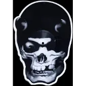 Import Skull shaped picture disc/ed limitee