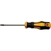 Bgs Schroevendraaier - Torx T25 - Meslengte 100 mm