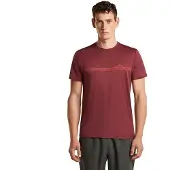 Icebreaker 150 Tech Lite Range Stripes T-shirt Met Korte Mouwen