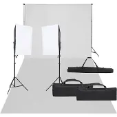 vidaXL Fotostudioset met verlichtingsset en achtergrond