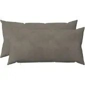 vidaXL Kussensloop 2 st HEERLEN Lichtgrijs 40 x 80 cm fluweel
