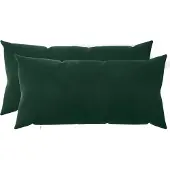 vidaXL Kussensloop 2 st HEERLEN Donkergroen 40 x 80 cm fluweel