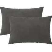 vidaXL Kussensloop 2 st HEERLEN Donkergrijs 40 x 60 cm fluweel