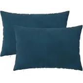 vidaXL Kussensloop 2 st HEERLEN Blauw 30 x 50 cm fluweel