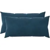 vidaXL Kussensloop 2 st HEERLEN Blauw 40 x 80 cm fluweel