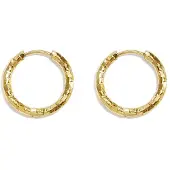 Yehwang Kyra - Hoops - Stainless Steel - - Goud