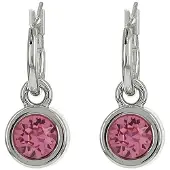 Biba Oorhangers zilver met steen Rose