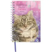 Comello Franciens katten luxe spiraalagenda Blitz 2027