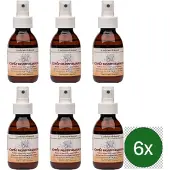 Verillis Luchtverfrisser koele meerminnen – 110 ml – Multipack met 6 stuks