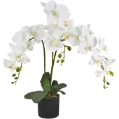 Decovego Kunstorchidee, wit, met pot, 65 cm,
