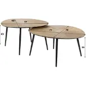 AnLi Style Salontafel Ray organisch set/2
