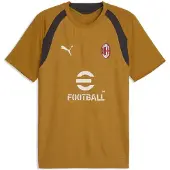 Puma Milan Trainingsshirt - Goud