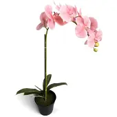 Oosterik Home Orchidee new pink in pot H 64 cm kunstplant