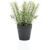 Emerald Thyme in black pot 22 cm kunstplant