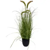Oosterik Home Pluimgras beige H 66 cm kunstplant