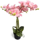Oosterik Home Orchidee new pink in pot H 65 cm kunstplant