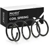 RIDEX 188C0809 Chassisveer