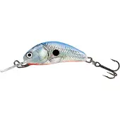 Salmo Hornet - 3.5 cm - silver blue shad