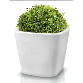 Polnix Klassieke Keramische Pot 36x33 cm - Wit Glanzend