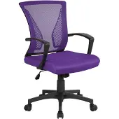 Markenlos Ergonomische bureaustoel met ademend netmateriaal, paars