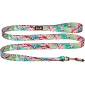 HAUKI Elegante Hondenlijn 150cm x 2cm - Kwaliteit & Nederlands Product