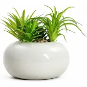 Homla - Kunstplant - Succulent in Pot - 19 cm