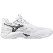 Mizuno Wave Momentum Pro