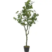 Home Deco Factory Kunstplant Eucalyptus