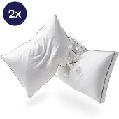 Zelesta PillowFight 50x60x10cm