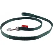 Champion Hondenlijn Groen 120cm - Duurzame PP-band, 1.6cm breed