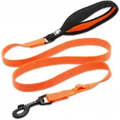 TrueLove Lumen Hondenriem met LED-lamphouder - Oranje, Maat S