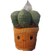 Little Garden Cactus knuffel - Cute - Kawaii - 22 cm
