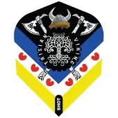 Shot Jitse van der Wal NO6 - Dart Flights
