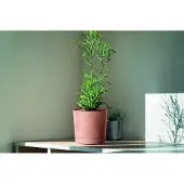 Prosperplast Tubo Beton Effect Pot met Schotel 40cm - Marengo
