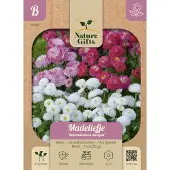 Baltus Madeliefje Duizendschoon mengsel bloemenzaad Nature Gifts