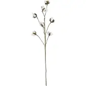 Mars & More siertak katoenplant 80cm*