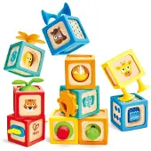 Hape Delightful Discovery Blocks Veelkleurig Kinderen