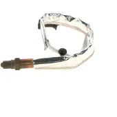 Bosch 0 258 010 165 Lambdasonde