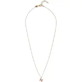 Alisia AL4258.01.914 GOLD-PLATED LETTER N KETTING MET PARELS 1 STUK