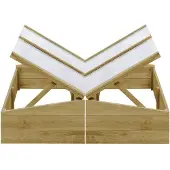 vidaXL Kweekkassen 2 st 100x50x35 cm geïmpregneerd grenenhout