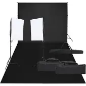 vidaXL Fotostudio-set met verlichting en achtergrond