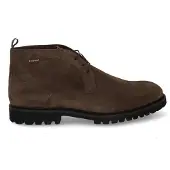 Floris van Bommel De Floter 01.01 taupe (43.5)
