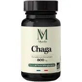 Phytalessence Chaga 800 mg Bio 60 Gélules