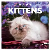 Presco Kittens Kalender 2027