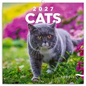 Presco Katten Kalender 2027