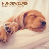 Tushita Puppies Kalender 2027