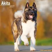 Avonside Publishing Ltd. Akita Kalender 2027