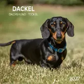 Tushita Teckel Kalender 2027