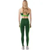 Lacoste Legging met kleurblokken voor dames (Groen)