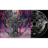 Cd MARROW DEEP